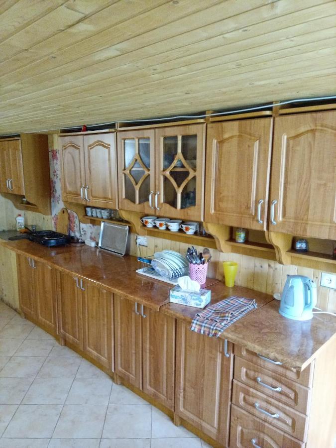 Sadyba U Vani Воловец Екстериор снимка